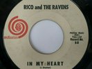Rico And The Ravens   Don't You Know / In My Heart   Autumn   US   Promo  1963