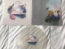 The Sound Of Arrows Stay Free Limited Clear Vinyl Record Synth Pop