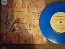Foo Fighters For All The Cows 7