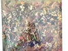 The Individuals   Fields   Plexus Records   RARE NEAR MINT in partial shrink
