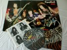KISS ANIMALIZE PICTURE DISC LP VINYL RECORD 12