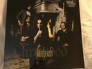 WITCHCRAFT Firewood 2005 LP SEALED Vinyl Rise Above metal Ghost Opeth record