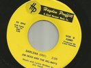 GARAGE ROCKER bw TEEN SURF - JIM HEAD & the DEL-RAYS- DARLENA - HEAR - 1964 H P