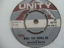 THE REGGAE BOYS......WHAT YOU GONNA DO......7