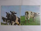 Pink Floyd Atom Heart Mother Odeon OP-80102 Japan Red Vinyl  LP