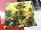 Virgin Steele  GUARDIANS OF THE FLAME  - LP Roadrunner RR 9899 Holland near mint