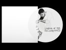 Kid Cudi Leader of the Delinquents 12