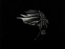 BOYD, Moses - Dark Matter - Vinyl (2xLP)