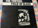 THE TRIFFIDS  - “FIELD OF GLASS” VINYL - OZ ALT - CLASSIC RECORD - RARE