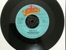 The Beach Boys - Surfin' USA / Surfer Girl 7'' Vinyl US Import COL 6002 1992 EX