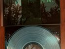 If These Trees Could Talk 