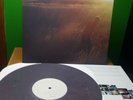 SAVES THE DAY Stay What You Are LP COLORED VINYL limited edition UNPLAYED