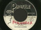 hear Killer Rockabilly 45 MICKEY HAWKS & NIGHT RAIDERS Cottonpickin' / Hidi Hidi