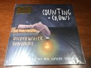 Counting Crows ?– Underwater Sunshine  - NM Vinyl LP Record