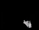 Days Gone By - Bob Moses - Vinyl