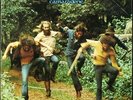 COTTONWOOD 'Camaraderie' 1971 Near Mint White label Promo LP