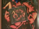 EVERYTHING EVERYTHING A FEVER DREAM VINYL LP & CD BOTH SIGNED SEALED MINT