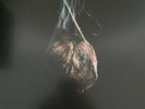 TRIVIUM WHAT THE DEAD MEN SAY VINYL LP (Released April 24th 2020)