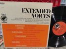 ROBERT ASHLEY JOHN CAGE Extended Voices LP ODYSSEY ELECTRONIC AVANT GARDE VG++