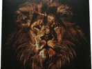 John Butler Trio - April Uprising (12