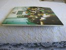 Oasis - The Masterplan Original CRELP 241 - As new condition