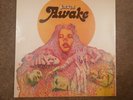 Jackal - Awake LP reissue Psych Prog Rock