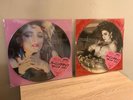 Madonna Japanese picture Discs vinyl Lps
