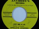 Garage Mod Psych 45 APOLLO'S APACHES Cry Me A Lie ANYBODY'S HEAR