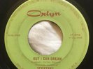 RARE GARAGE ROCK 45 - The Sceptres - But I Can Dream/Last Time - ORLYN