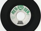 VERY RARE ROOTS REGGAE RED SEA LABEL THE DYNAMICS 
