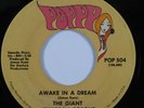 Doo Wop Psych 45 GIANT JELLYBEAN COPOUT Awake In A Dream POPPY HEAR