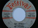 R&B Rocker Doo Wop 45 CYCLONES Say What? FESTIVAL promo HEAR