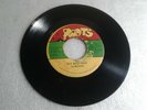 SURVIVORS - RUN BALD HEAD/ MR HEAD/ ORIG 1976 ROOTS 45 KILLER/ JA PRESSING