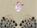 Devendra Banhart : Smokey Rolls Down Thunder Canyon VINYL 12