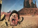Tygers Of Pan Tang - Burning In The Shade - Vinyl LP 1987