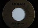 THE EARLY NEWS - GIVE IN / NOW I'M FREE - US LOGAN  1966 Psych 2sider  HEAR