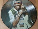 The Rolling Stones ?–miss you in tokyo  -  lp -pic.disc