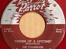 The Flamingos-Dream Of A Lifetime/Merry Way Parrot 808 red wax 45 Doo Wop HEAR