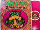 ORANGE ALABASTER MUSHROOM - Space & Time - UK press Psych NM LP - PURPLE vinyl