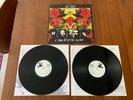 INCUBUS A Crow Left of the Murder IMMORTAL 2004 Original E2 90890 (2LPs) VG