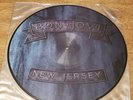 BON JOVI NEW JERSEY 1988 POLYGRAM PICTURE DISC NICE  LP