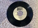 45 RPM Doo Wop Dream My Darling Dream, Teh Re-vels on Sound NM/M-