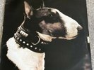 Pixies - Here Comes Your Man - 12