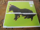 PROMISE RING Horse Latitudes LP Jade Tree new sealed vinyl record clear