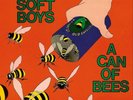 The Soft Boys 'A Can of Bees' LP NEW / SEALED Yep Roc
