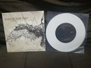 Haste The Day / From Autumn To Ashes - Split Vinyl 7