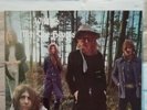 MOTT THE HOOPLE (1971)WILDLIFE ILPS 9144..VINYL IS MINT