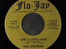 NUE SPECTRUM: Just A Little Love / A Message 45 Soul