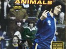 12” Super Furry Animals ‘The Man Don't Give A F***’ Limited Edition, Scarce