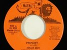 Horace Andy 